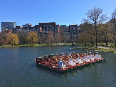 I walk by the Swan Boats and think of my childhood trips into the city. Then I walk by the bench my grandfather used to sit on in the Boston Common when he took me into the city. Both make me smile. Good and bad smiles.
